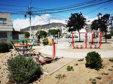 Imagen 11
