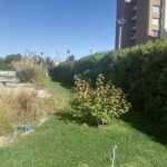 Imagen 7