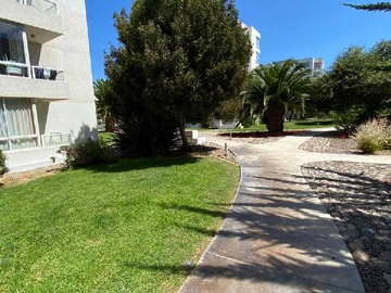 Imagen 15