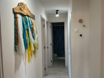 Imagen 15