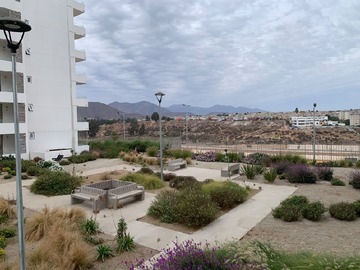 Imagen 6