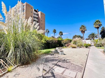 Arriendo Mensual / Departamento / La Serena