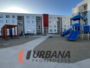 Imagen 13