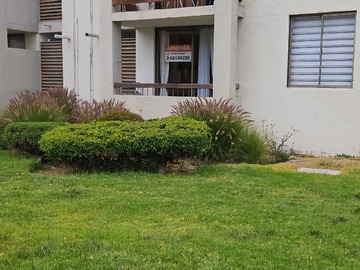 Imagen 14