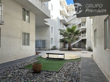 Imagen 12