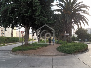 Imagen 16