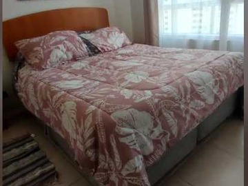 Imagen 7