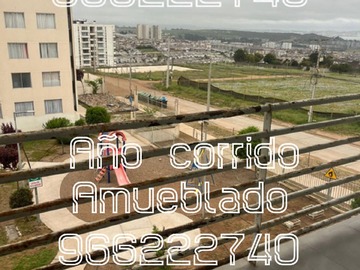 Imagen 15