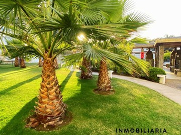Imagen 19