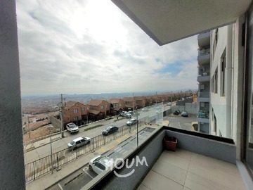 Imagen 6