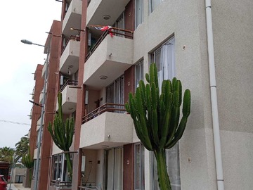 Arriendo Mensual / Departamento / La Serena
