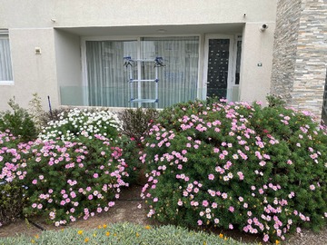 Arriendo Mensual / Departamento / La Serena