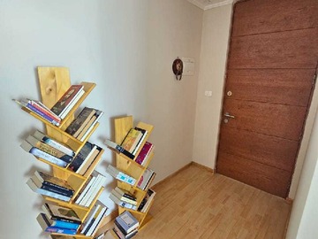 Imagen 8