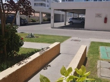 Imagen 12