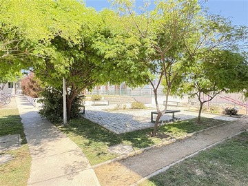 Imagen 16