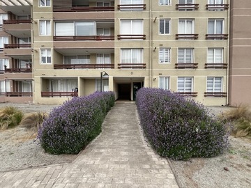 Arriendo Mensual / Departamento / La Serena