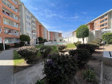 Imagen 15