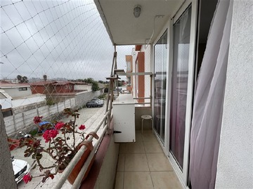 Imagen 5