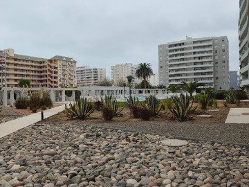 Imagen 15