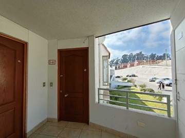 Imagen 15