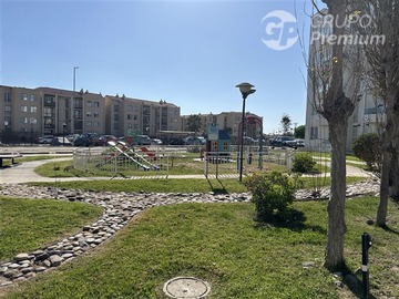 Imagen 14