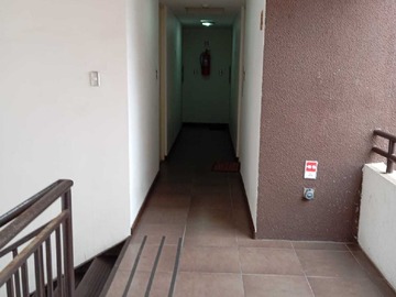 Imagen 5
