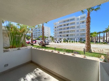 Imagen 8