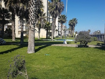 Imagen 20