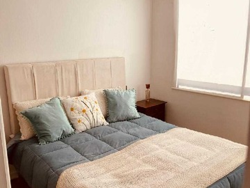 Imagen 21