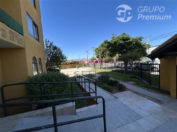 Imagen 6