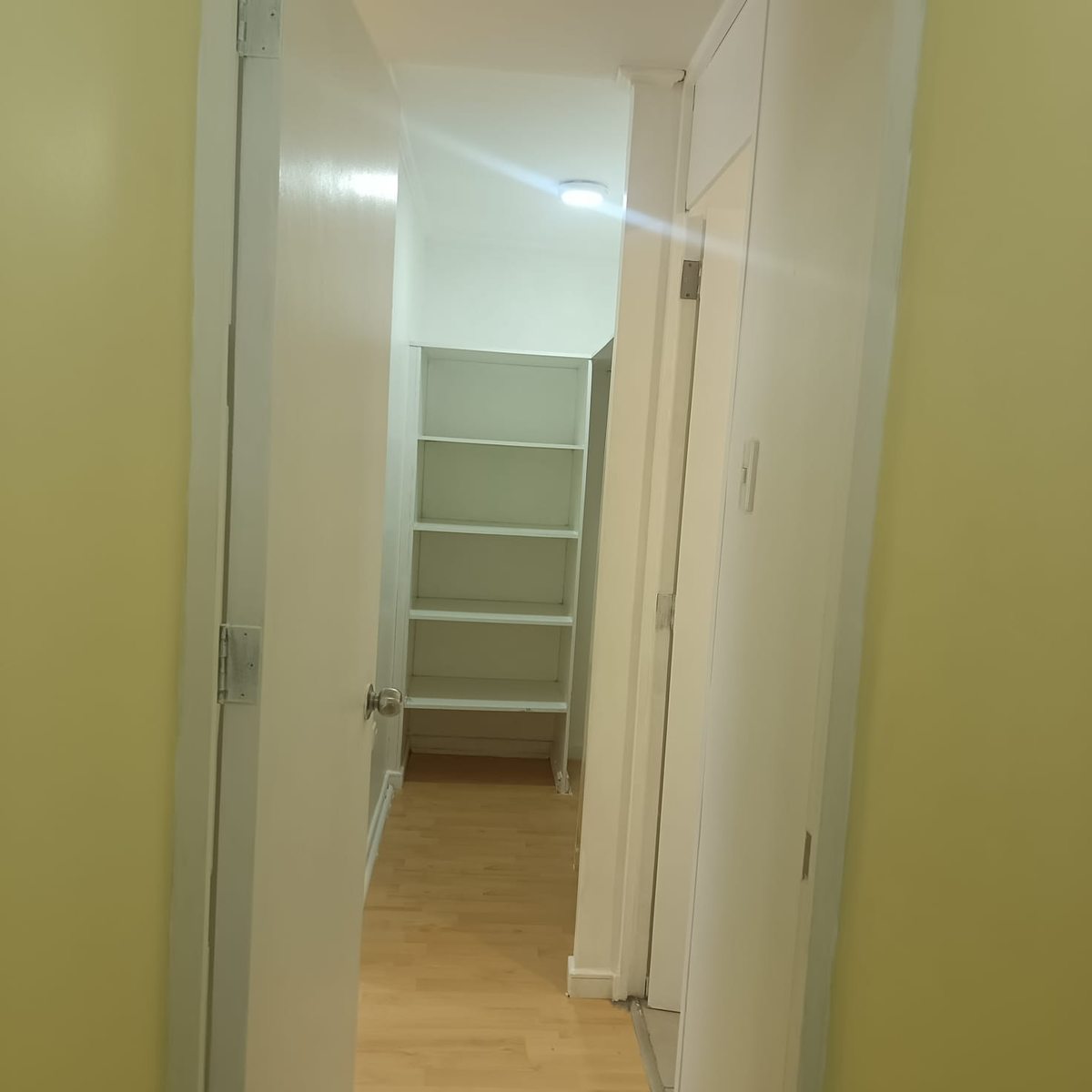 ropero suite