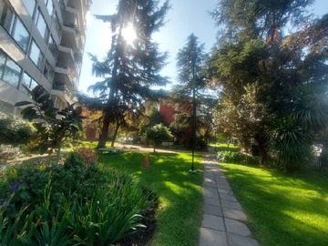Imagen 18