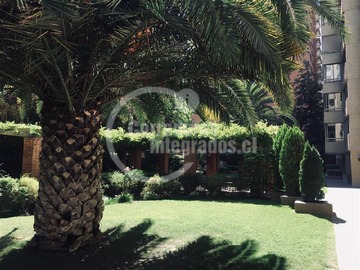 Imagen 20