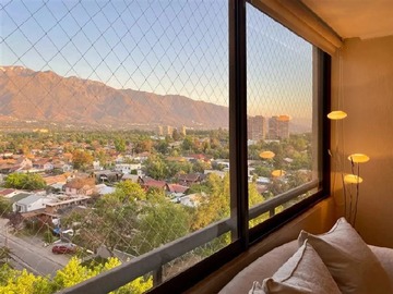 Imagen 6