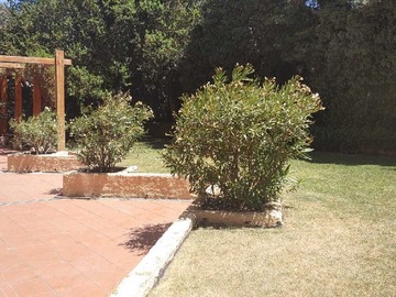 Imagen 20
