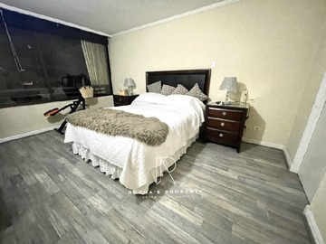 Imagen 19