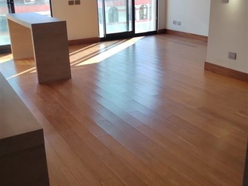 Arriendo Mensual / Departamento / Las Condes