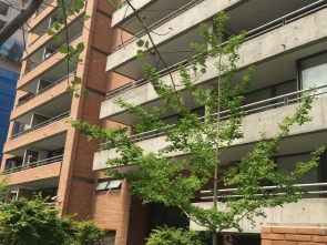 Arriendo Mensual / Departamento / Las Condes