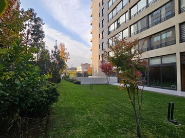 Imagen 23