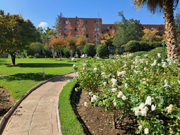 Arriendo Mensual / Departamento / Las Condes