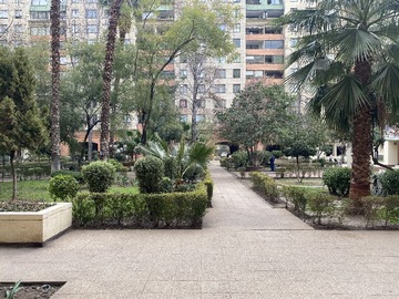 Imagen 23