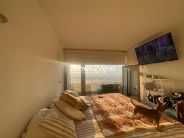 Imagen 7