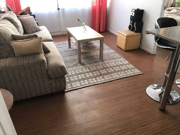 Arriendo Mensual / Departamento / Las Condes