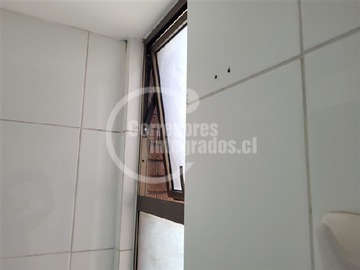 Imagen 20