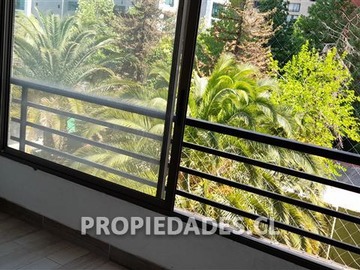 Imagen 5