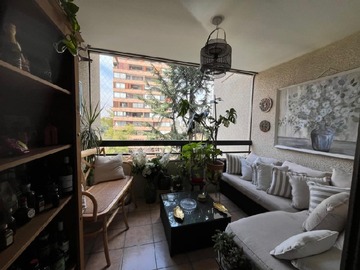 Imagen 5