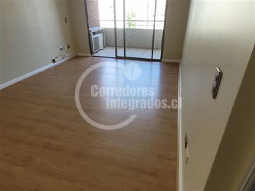 Imagen 5