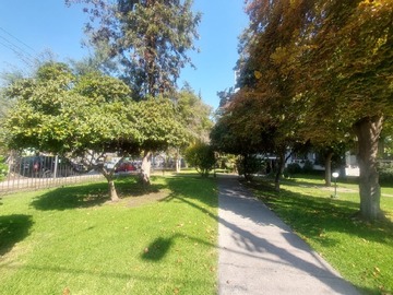 Imagen 17