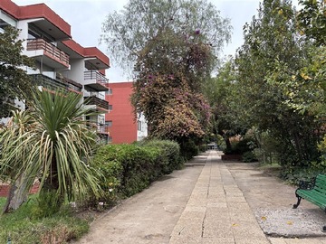 Imagen 7