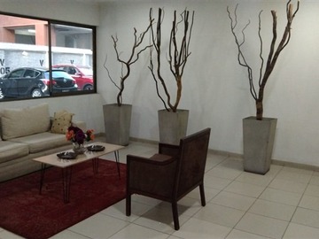 Imagen 4